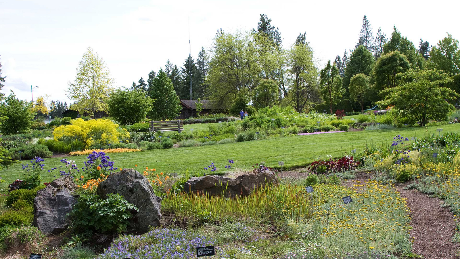 Image of Joel E. Ferris Perennial Garden