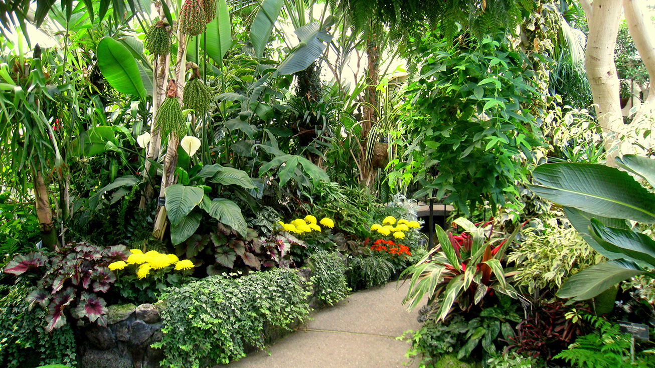 Image of Gaiser Conservatory